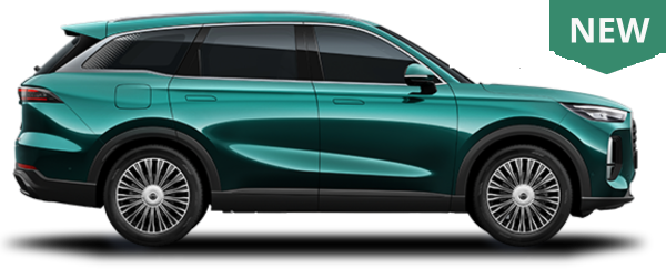 Tiggo 9 CSH